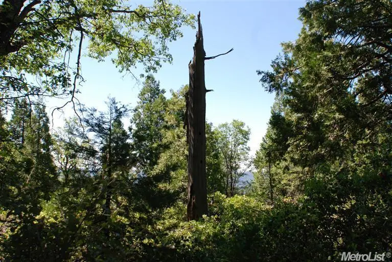 0 Kearsarge Mill Road, Alta, CA 95715 - Image #2