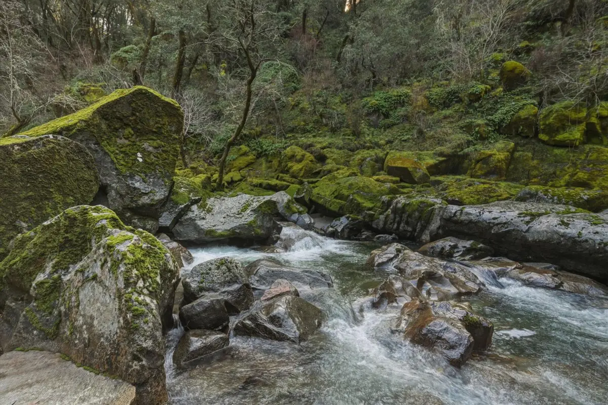 11 Upton Road, Somerset, CA 95684 - Image #1