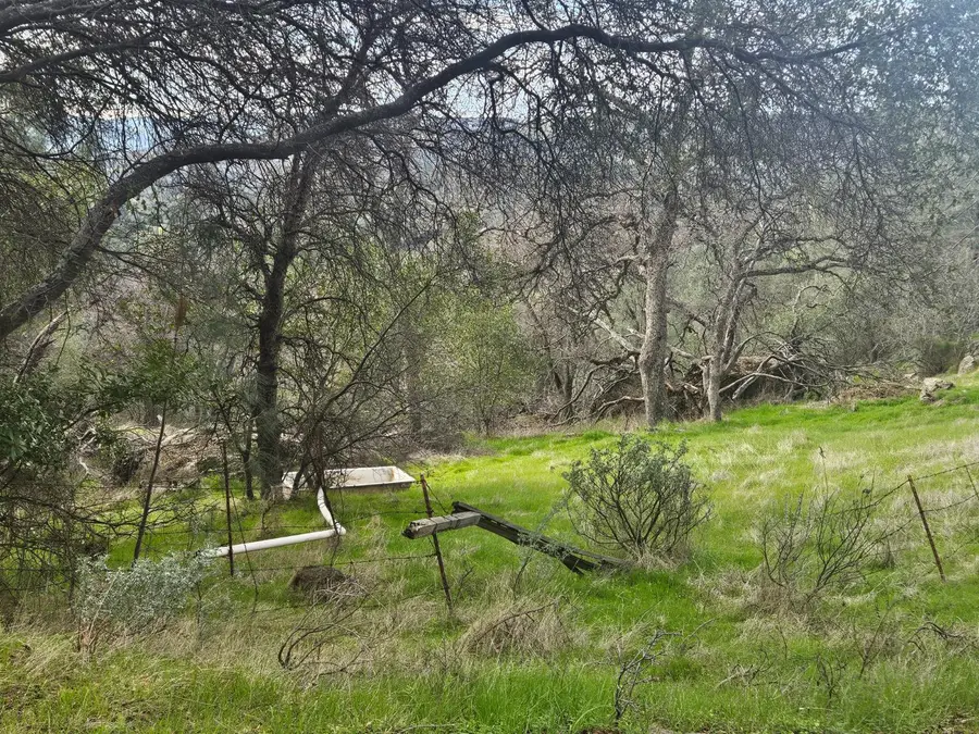 4394 Appaloosa Way, Angels Camp, CA 95222 - Image #3