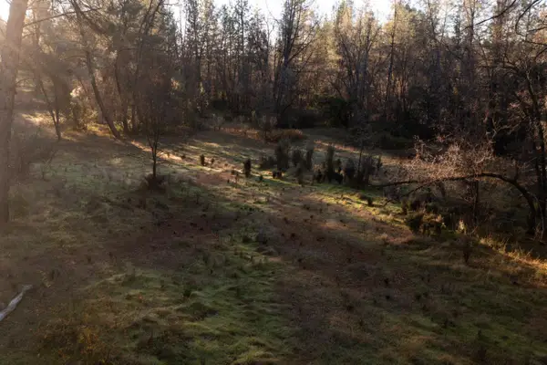 574 Higdon Spink Cutoff, West Point, CA 95255