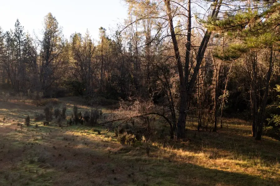 574 Higdon Spink Cutoff, West Point, CA 95255 - Image #2