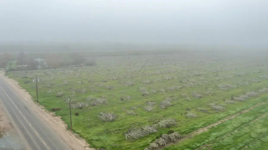 0 Road 208, Porterville, CA 93257 - Image #3