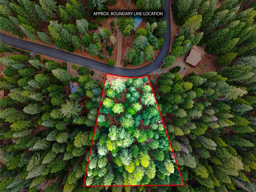 6300 Merry Way, Clipper Mills, CA 95930 - Image #3