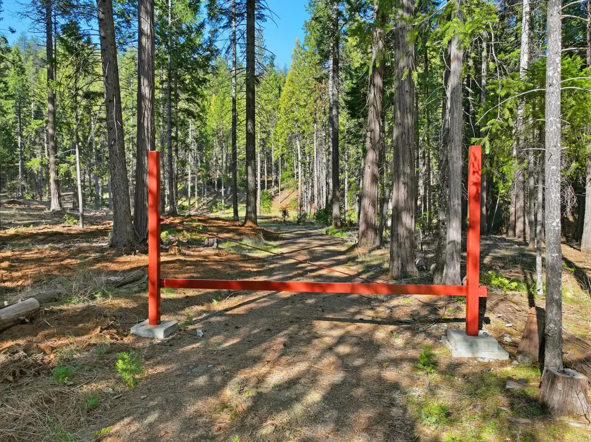 14442 Pello Court, Nevada City, CA 95959 - #1