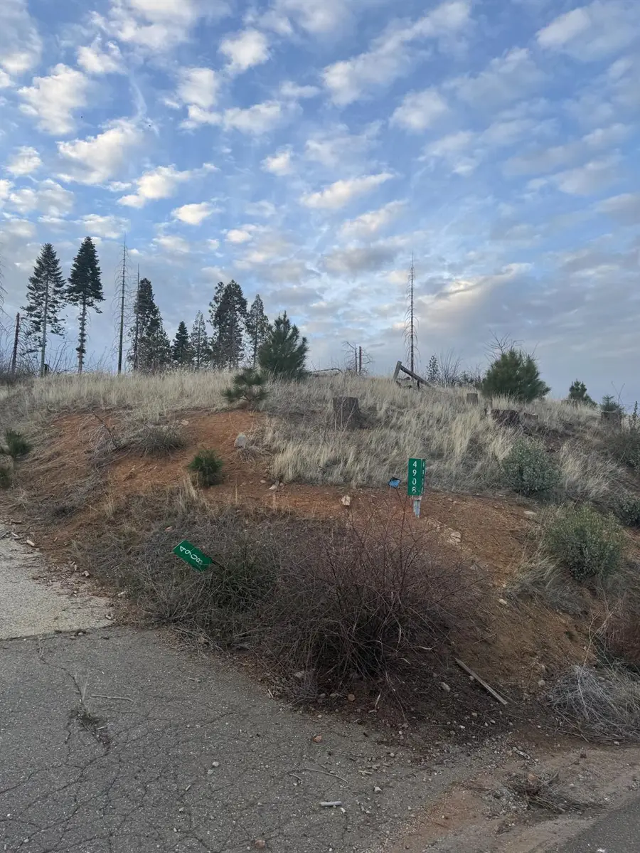 4908 Sciaroni Road, Grizzly Flats, CA 95636 - #2