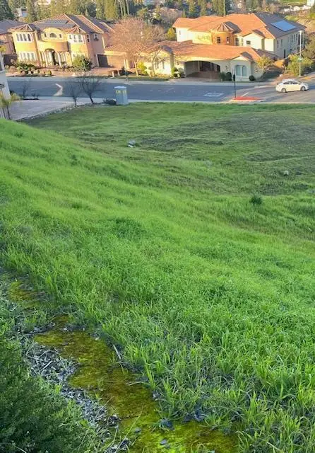 703 Glen-mady Way, Folsom, CA 95630 - Image #3