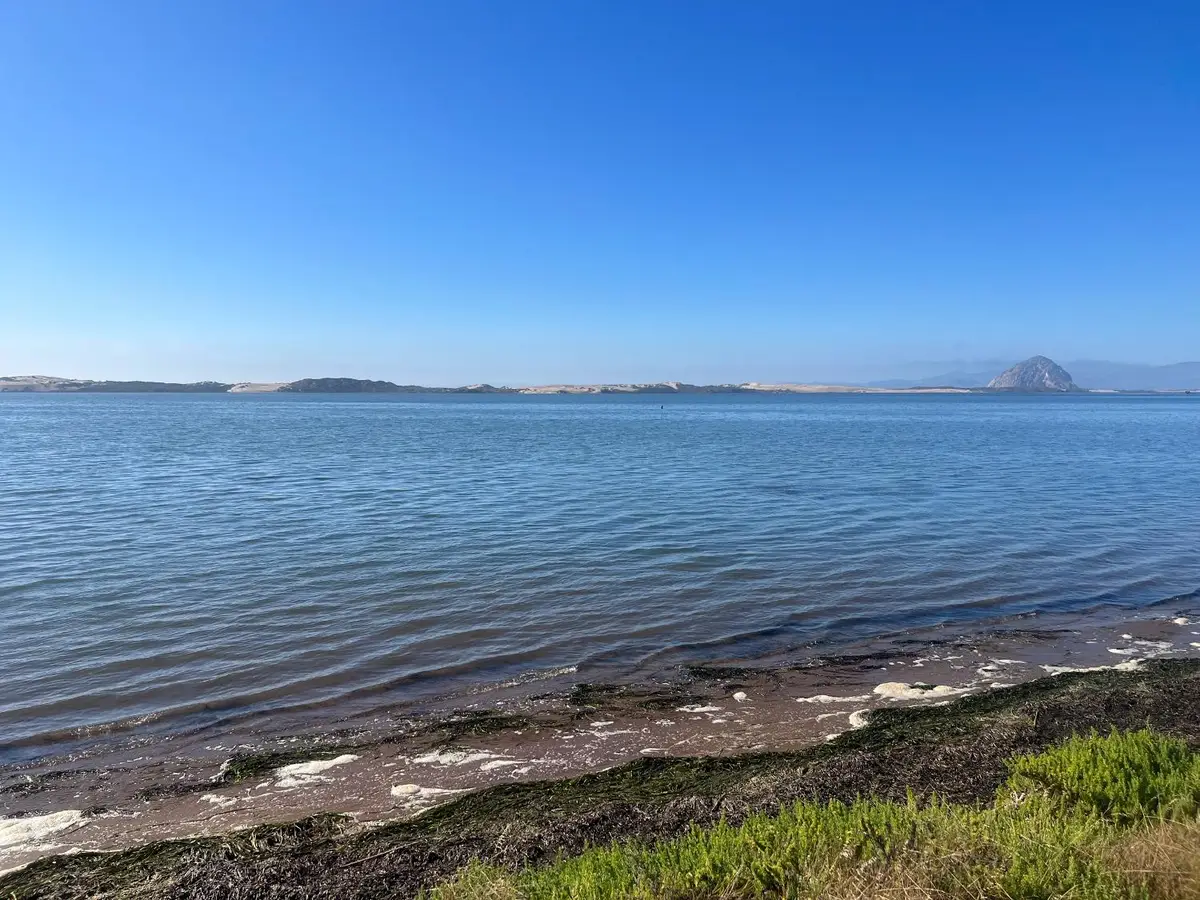 0 Pasadena Drive, Los Osos, CA 93402 - Image #1