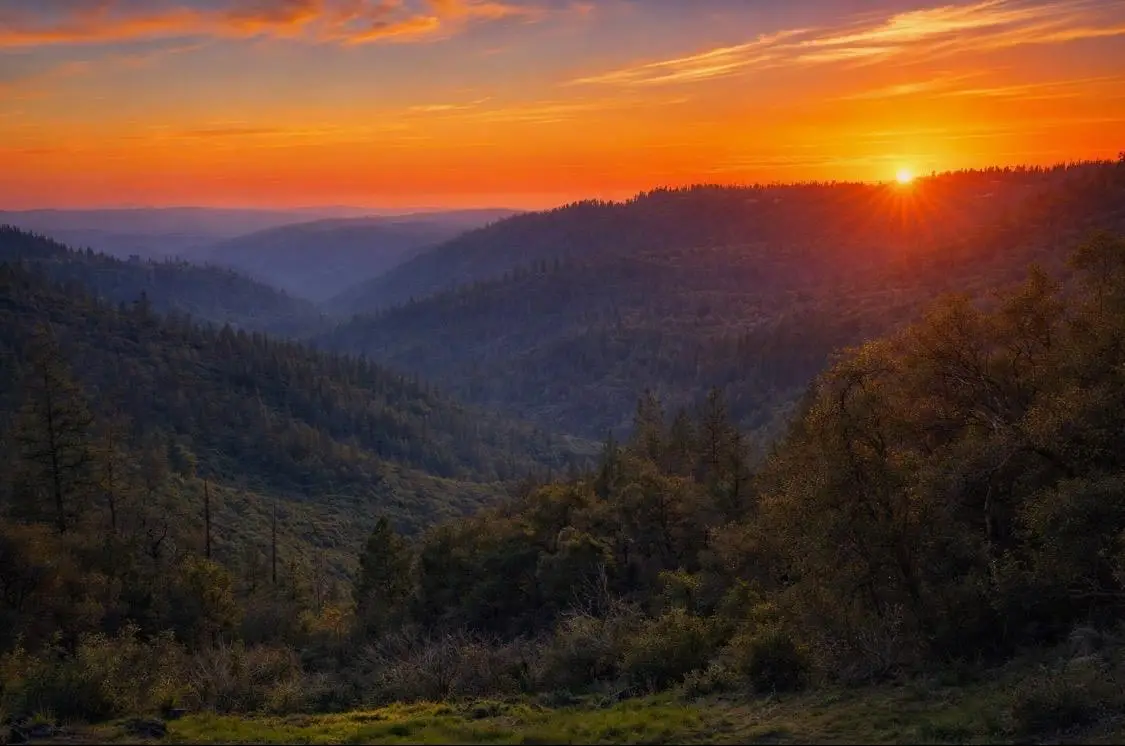 19751 Shirley Lane, Foresthill, CA 95631 - #1