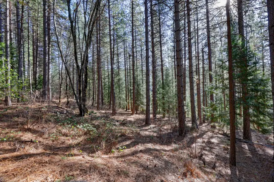 0 000 Canyon Creek Way, Dutch Flat, CA 95714 - Image #2