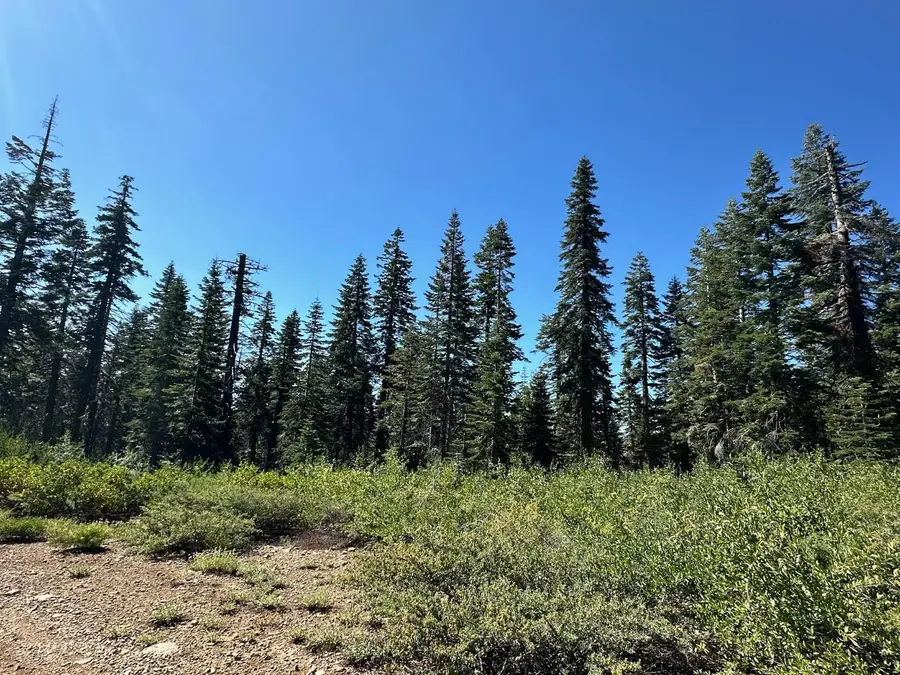 19231 Marsh Mill Road, Nevada City, CA 95959 - #3
