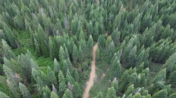 19372 Marsh Mill Road, Nevada City, CA 95959