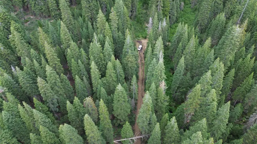 19372 Marsh Mill Road, Nevada City, CA 95959 - #2