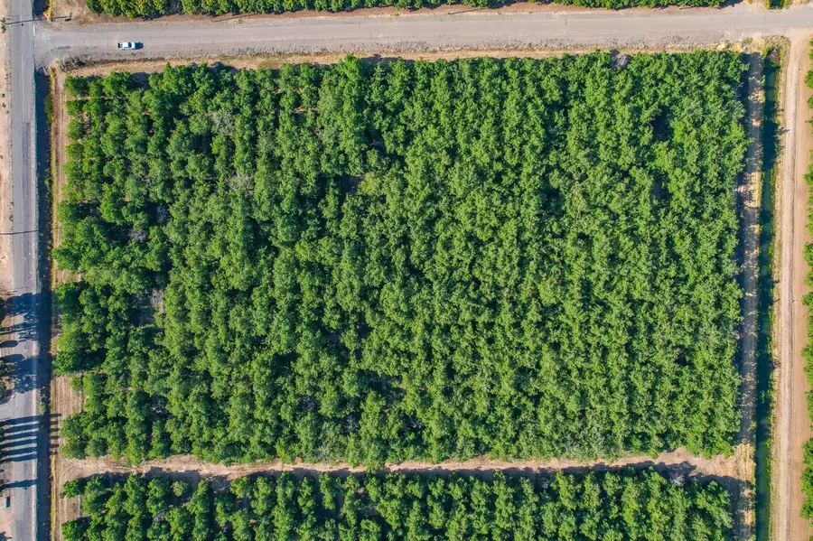 6400 Williston, Yuba City, CA 95953 - Image #3