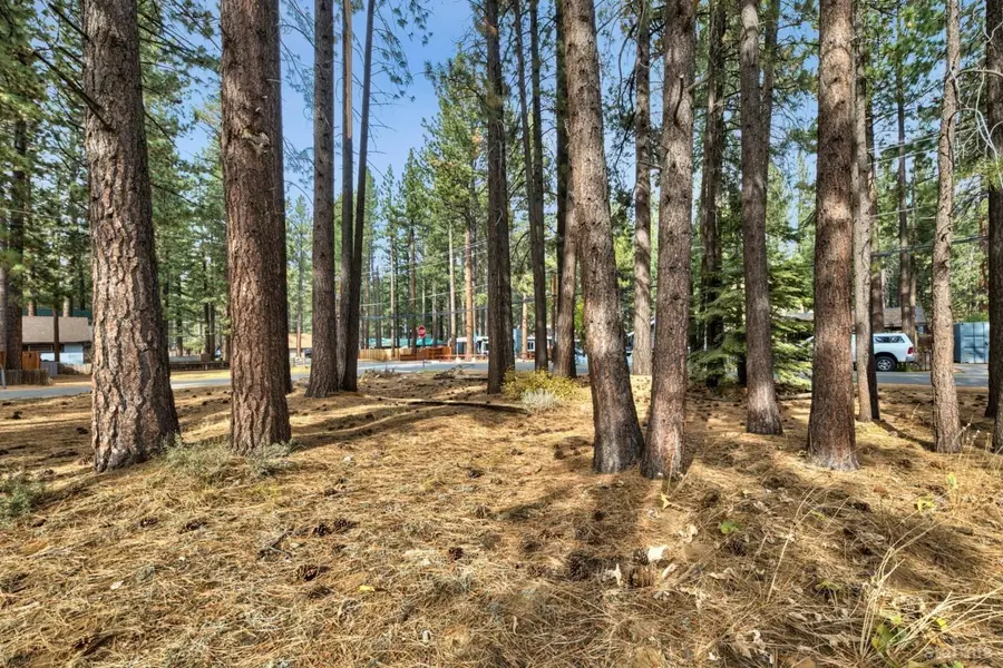 1124 Martin Avenue, South Lake Tahoe, CA 96150 - Image #2
