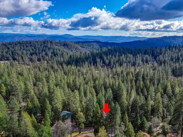 593 Avery Sheep Ranch Road, Avery, CA 95224