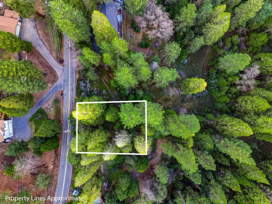 593 Avery Sheep Ranch Road, Avery, CA 95224 - #2