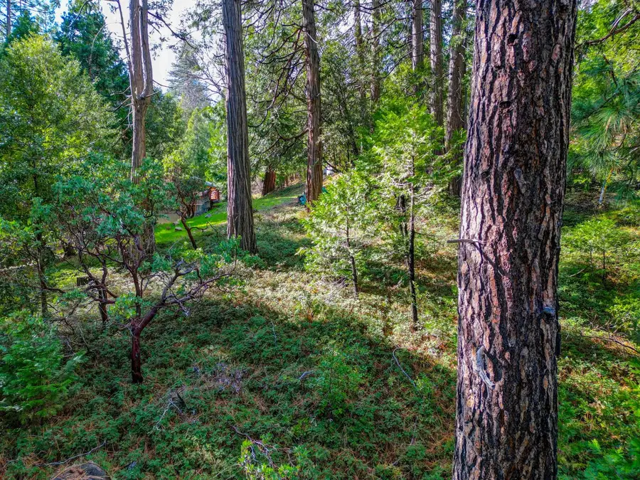 593 Avery Sheep Ranch Road, Avery, CA 95224 - #3