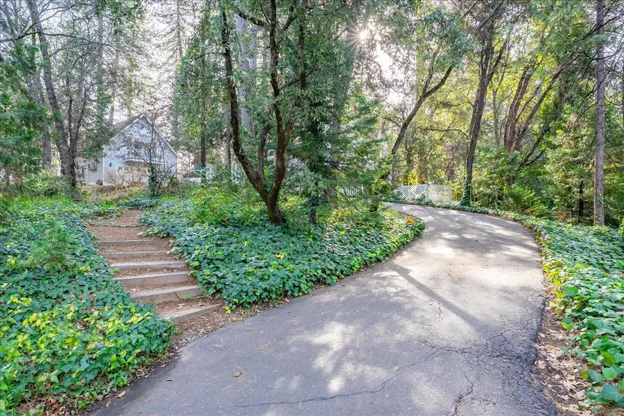 2920 Mount Danaher Road, Camino, CA 95709 - #3