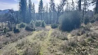 8066 Old Emigrant Trail, Mountain Ranch, CA 95246 - Image #3