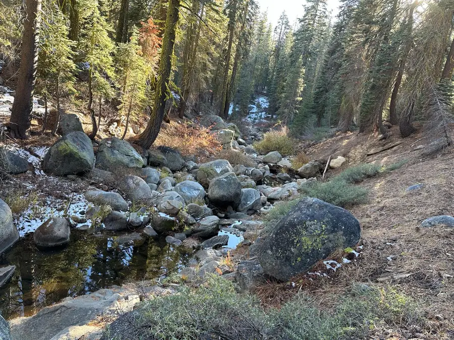 550 Cabbage Patch Log Road, Arnold, CA 95223 - Image #2