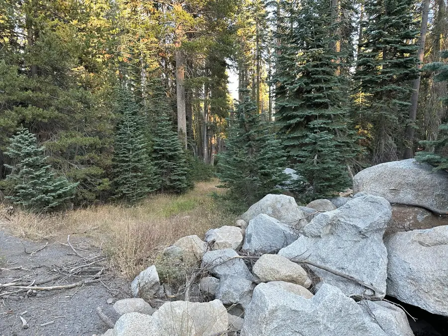 550 Cabbage Patch Log Road, Arnold, CA 95223 - Image #3