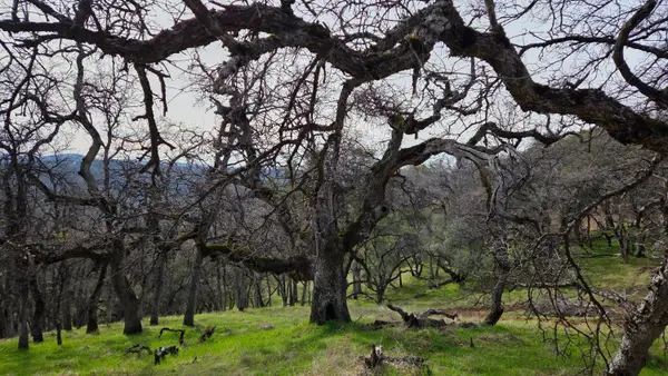 0 Palace Lane, Placerville, CA 95667