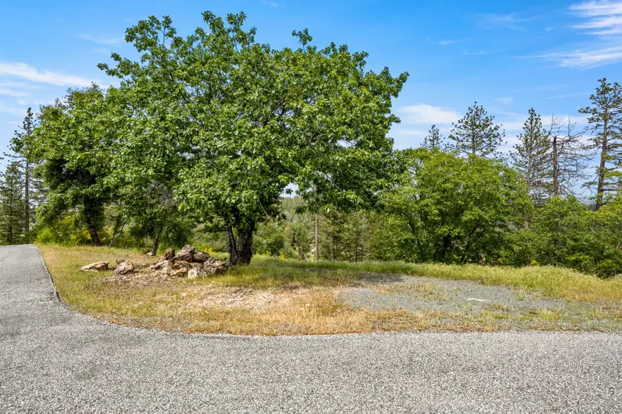 329 Cuckoo Court, Applegate, CA 95703 - #2