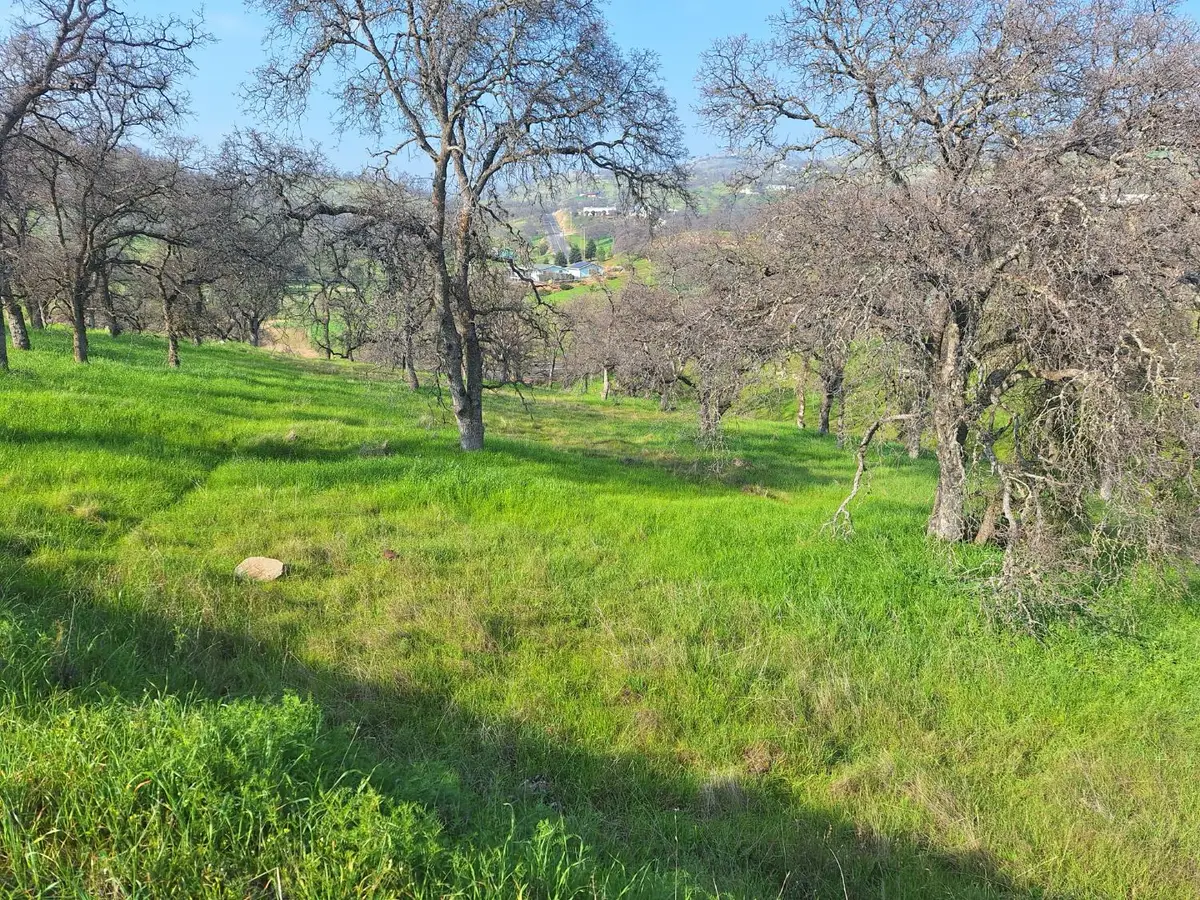 9000 Capullo Circle, La Grange, CA 95329 - #1