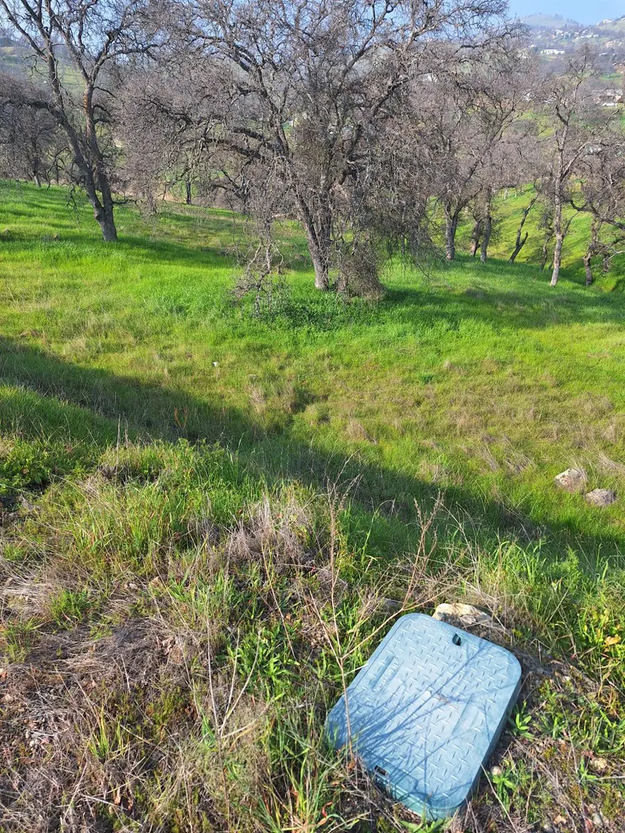 9000 Capullo Circle, La Grange, CA 95329 - #2