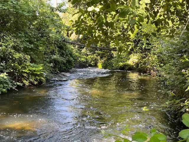 0 Crestview Drive, Murphys, CA 95247 - Image #1