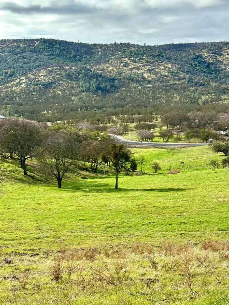 196 Hawkridge Road, Copperopolis, CA 95228 - Image #2