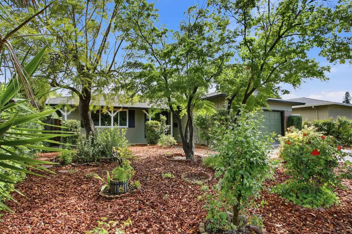 926 Camellia Way, San Jose, CA 95117 - #1