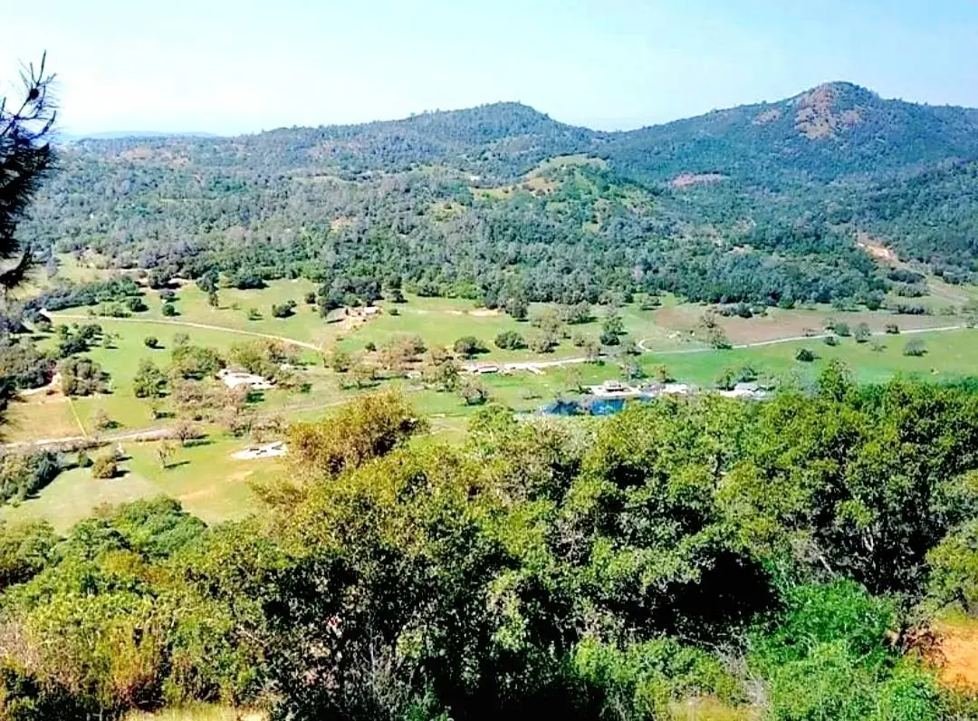 1669 Pinto Drive, Angels Camp, CA 95222 - Image #1