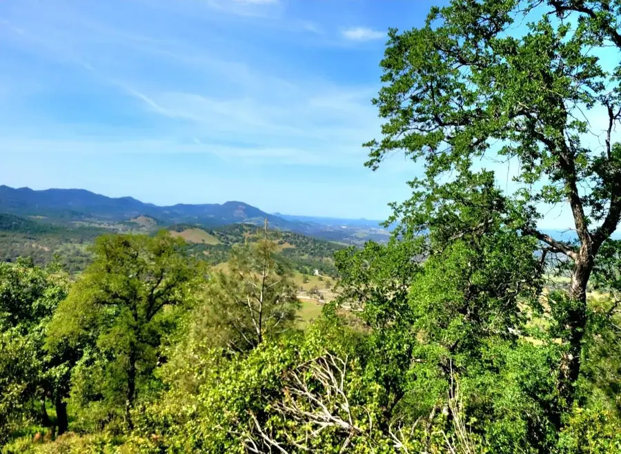 1669 Pinto Drive, Angels Camp, CA 95222 - Image #3