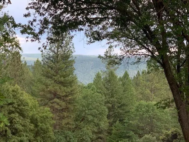 1500 Live Oak Road, Colfax, CA 95713 - #2