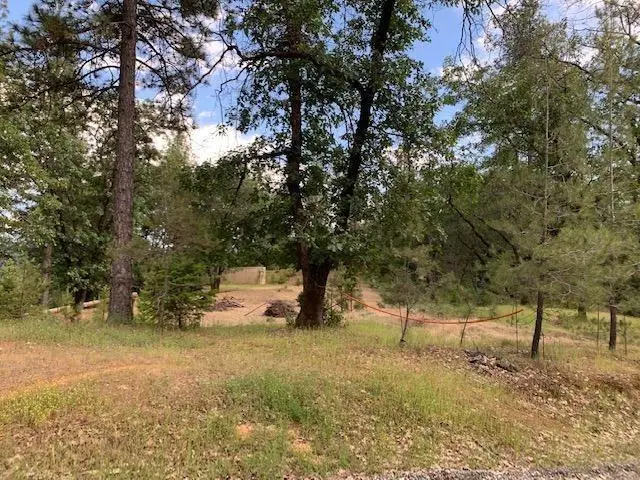 1500 Live Oak Road, Colfax, CA 95713 - #3