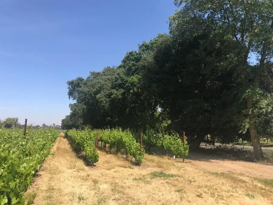 0 Kost Road, Galt, CA 95632 - #2