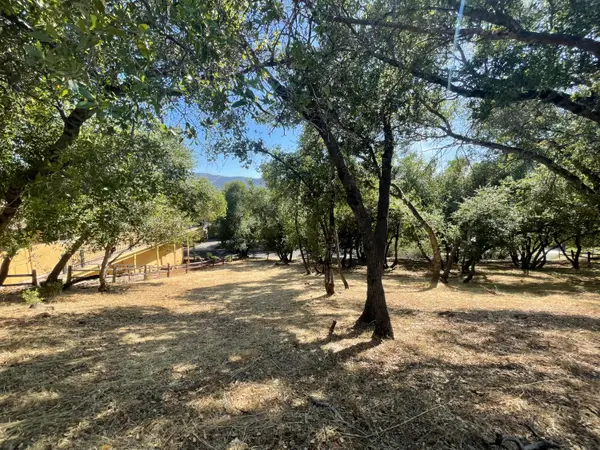 295 Mary Belle Way, Angels Camp, CA 95222