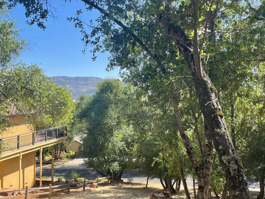 295 Mary Belle Way, Angels Camp, CA 95222 - #2