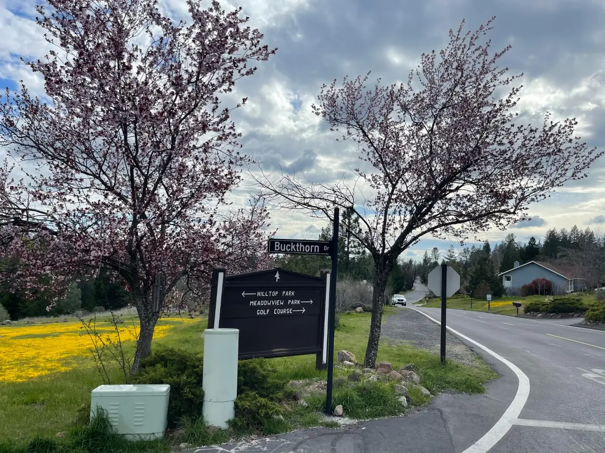 386 Buckthorn Drive, Murphys, CA 95247 - Image #1