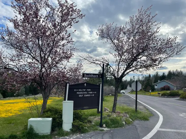 386 Buckthorn Drive, Murphys, CA 95247