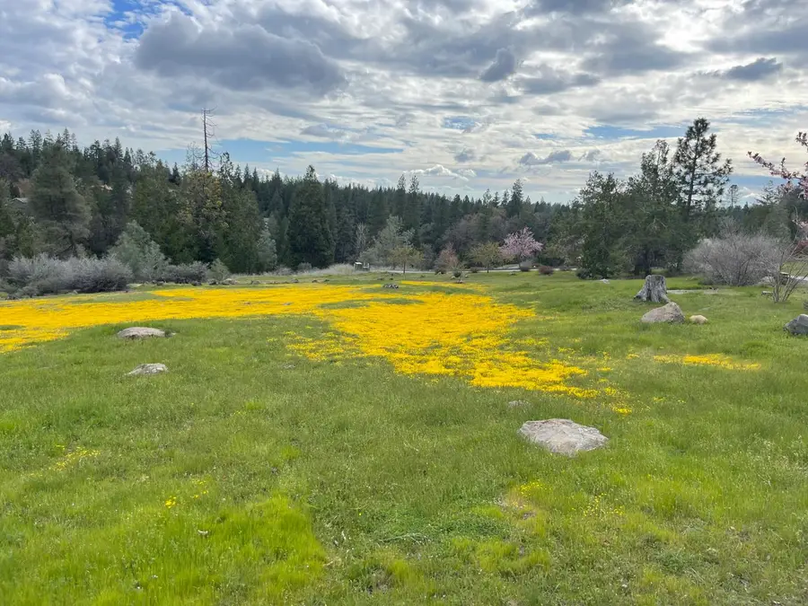 386 Buckthorn Drive, Murphys, CA 95247 - Image #3