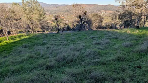 3152 Bow Drive, Copperopolis, CA 95228