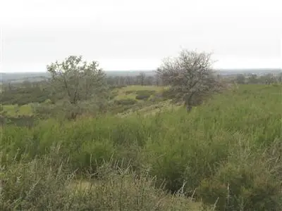 0 Crestview, Valley Springs, CA 95252 - Image #3