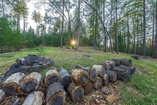 1355 E Weimar Cross Road, Colfax, CA 95713