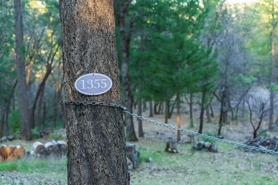 1355 E Weimar Cross Road, Colfax, CA 95713 - #2