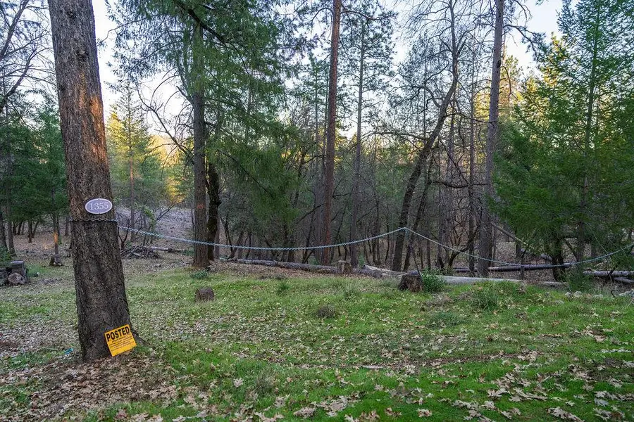 1355 E Weimar Cross Road, Colfax, CA 95713 - #3