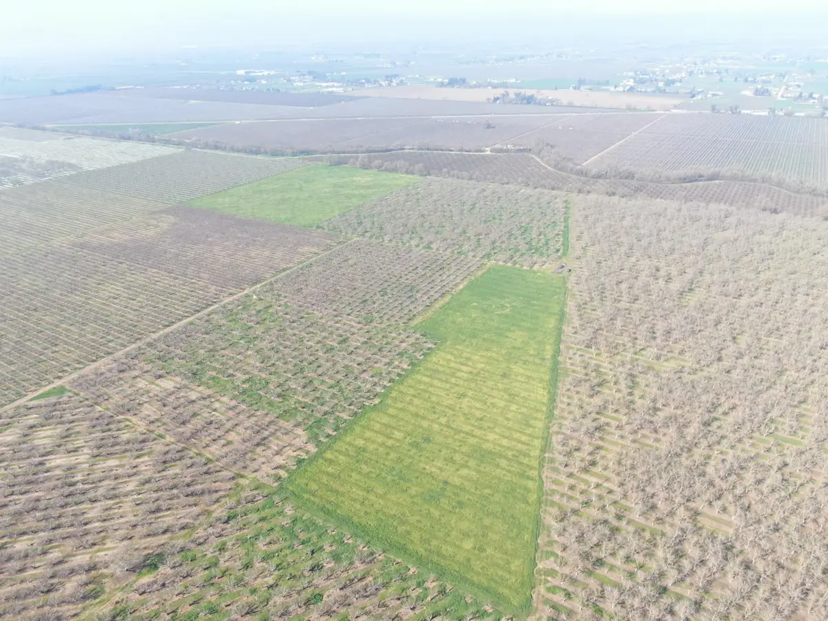 12255 E Eight Mile Road, Stockton, CA 95212 - Image #1