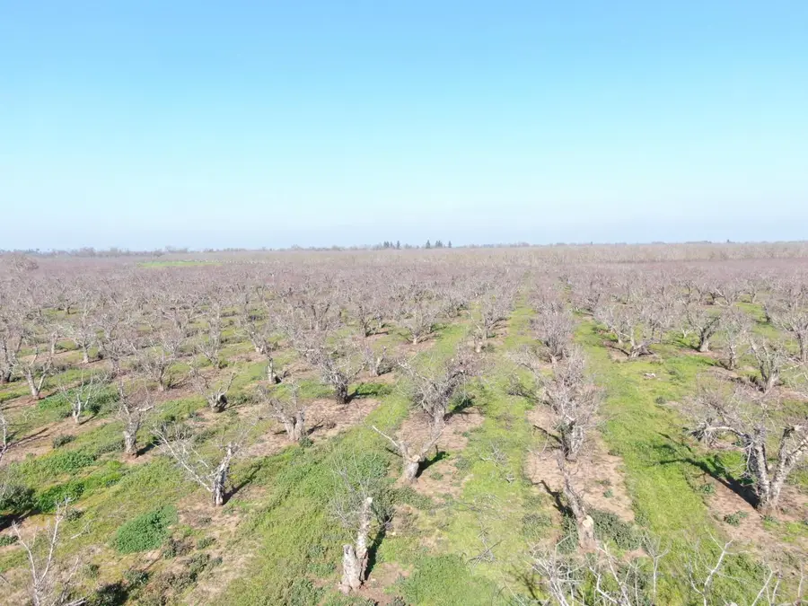 12255 E Eight Mile Road, Stockton, CA 95212 - Image #3