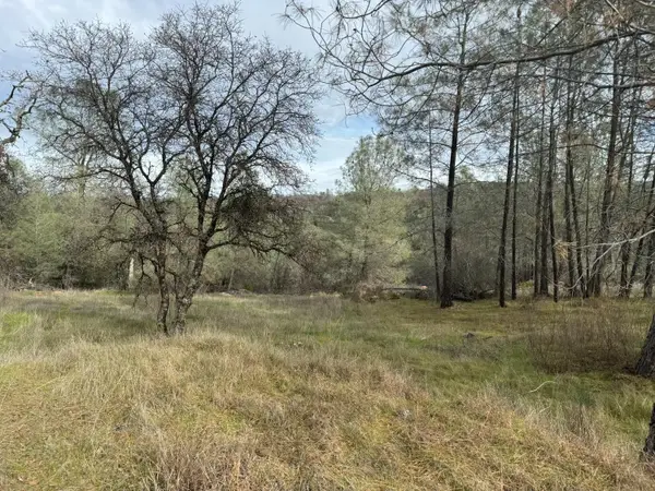 10600 Wild Turkey Lane, Smartsville, CA 95977